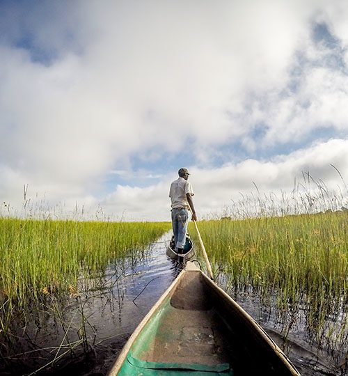 okavango-delta-mokoro